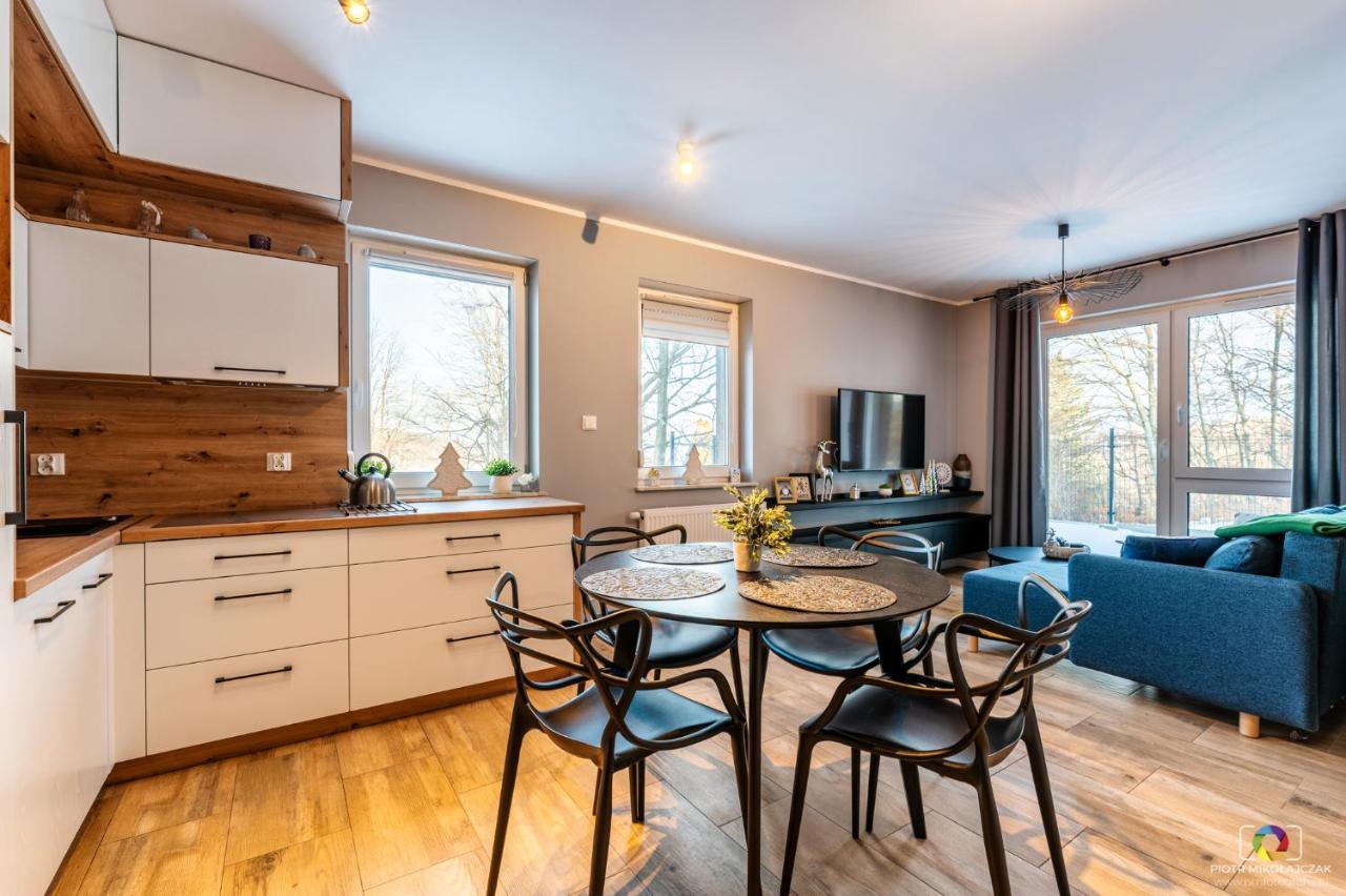 Apartament U Nas W Sudetach シクラルスカ・ポレンバ エクステリア 写真